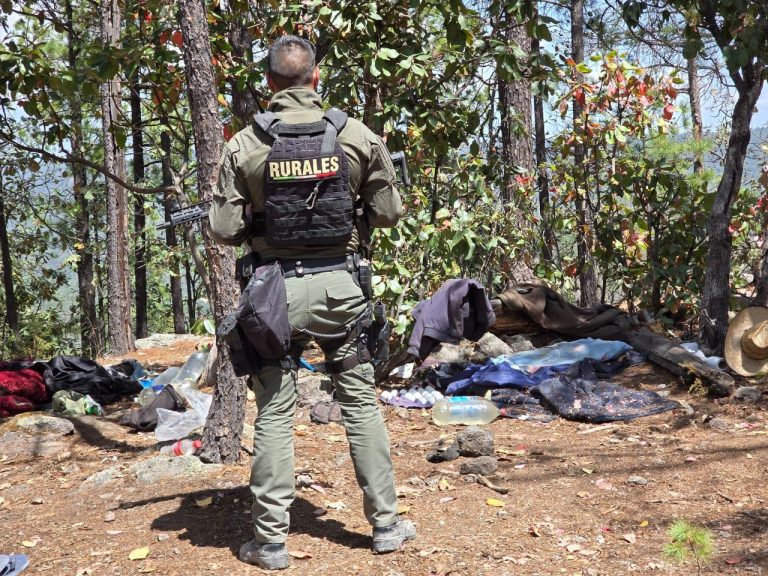 WhatsApp Image 2026-03-30 at 1.03.13 PM (1)