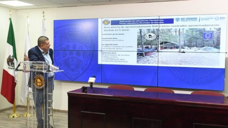 Captura de pantalla_24-4-2026_92736_noticias24.com.mx