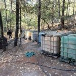 Captura de pantalla_28-4-2026_163732_www.eluniversal.com.mx