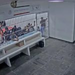 Captura de pantalla_7-4-2026_95026_www.google.com