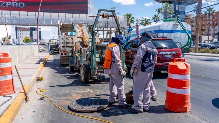 WhatsApp Image 2026-04-08 at 1.46.35 PM (1)