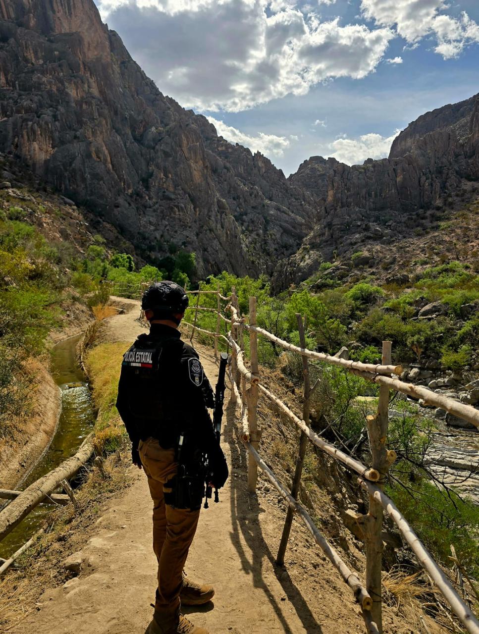 WhatsApp Image 2026-04-13 at 11.03.21 AM (1)