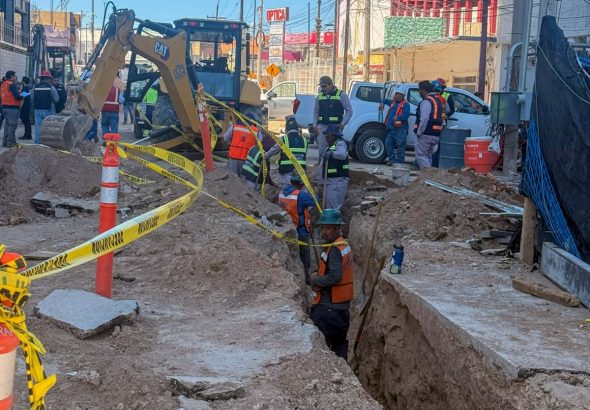 WhatsApp Image 2026-04-15 at 12.27.22 PM (2)