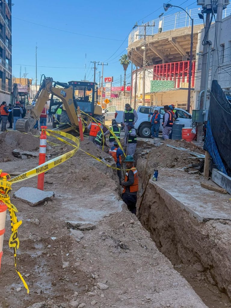 WhatsApp Image 2026-04-15 at 12.27.22 PM (2)