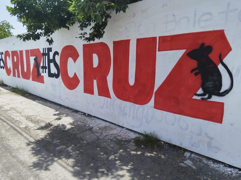 WhatsApp Image 2026-04-17 at 11.04.09 AM