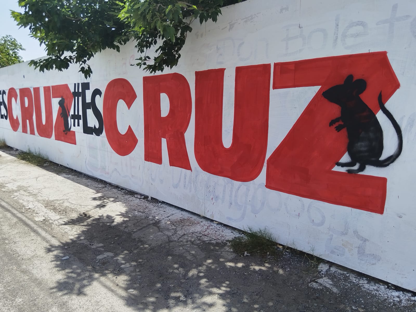 WhatsApp Image 2026-04-17 at 11.04.09 AM