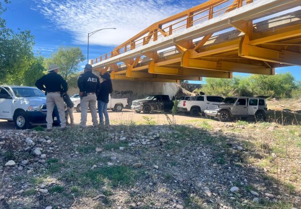 WhatsApp Image 2026-04-17 at 11.08.08 AM