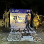 WhatsApp Image 2026-04-23 at 9.11.41 AM