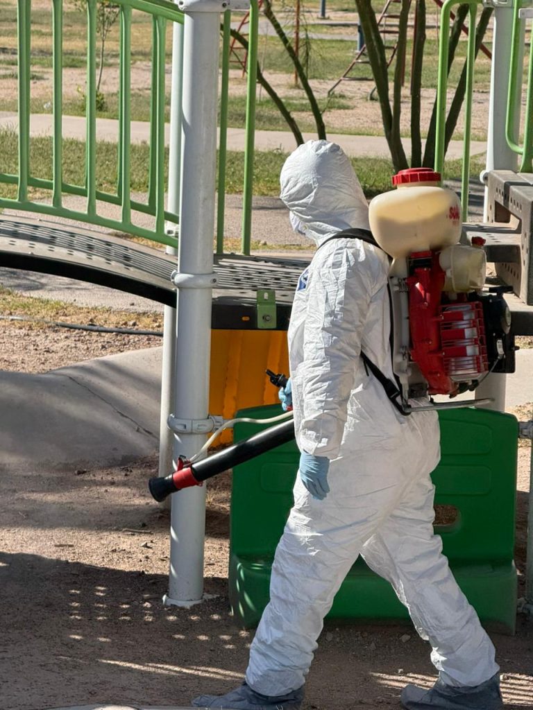 WhatsApp Image 2026-04-28 at 10.34.52 AM (1)