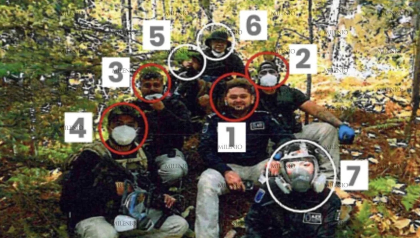 WhatsApp Image 2026-04-28 at 4.50.04 PM (1)