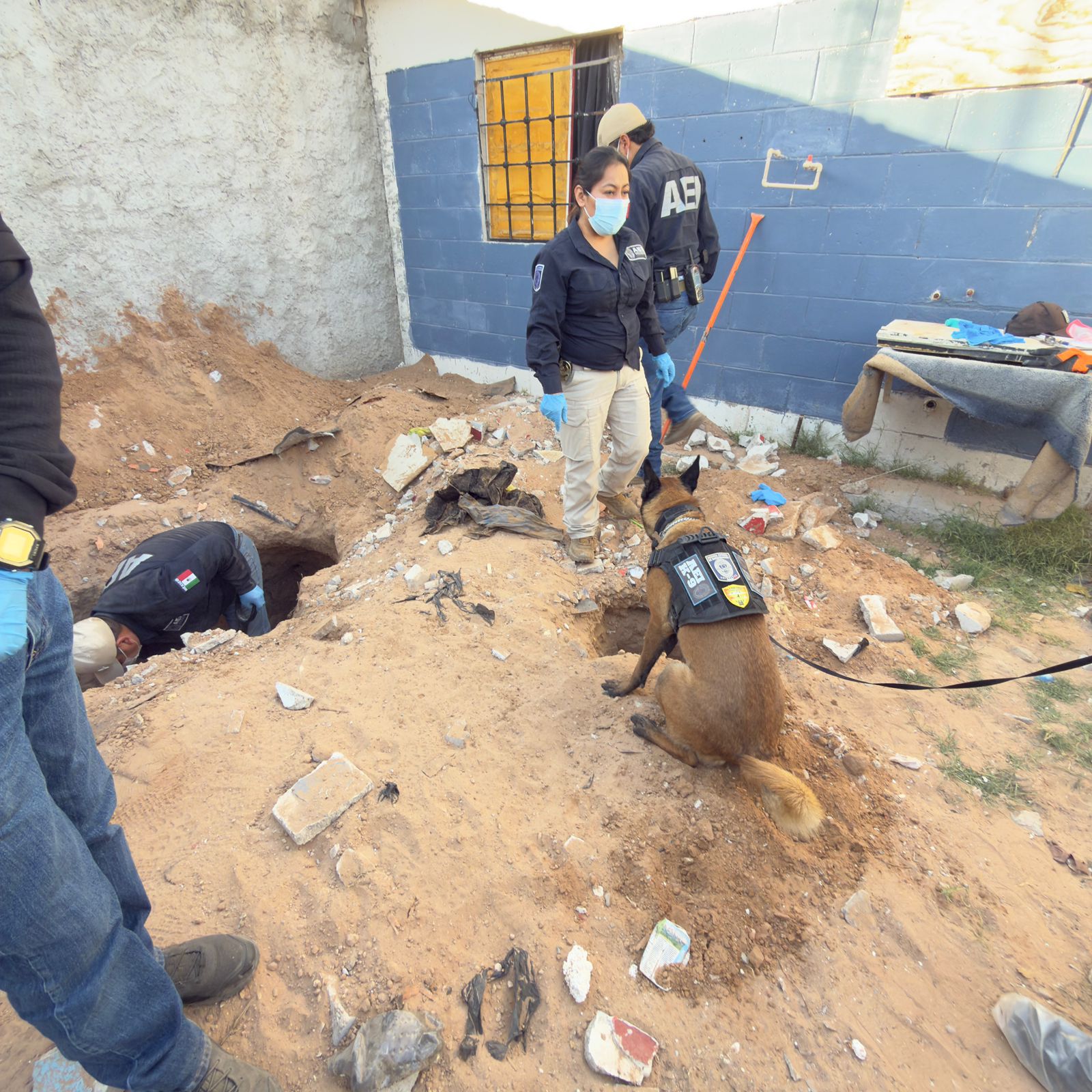 WhatsApp Image 2026-04-29 at 11.07.12 AM