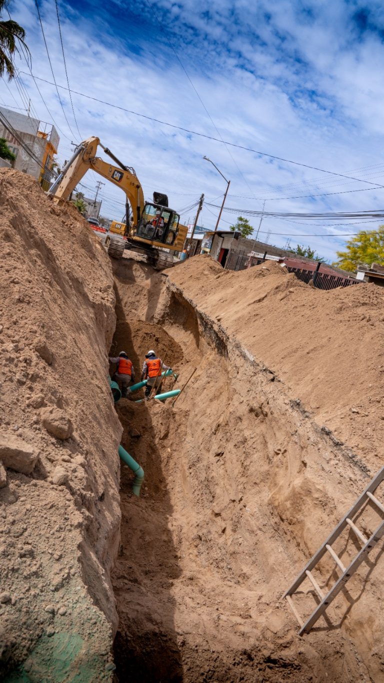 WhatsApp Image 2026-04-29 at 2.53.24 PM