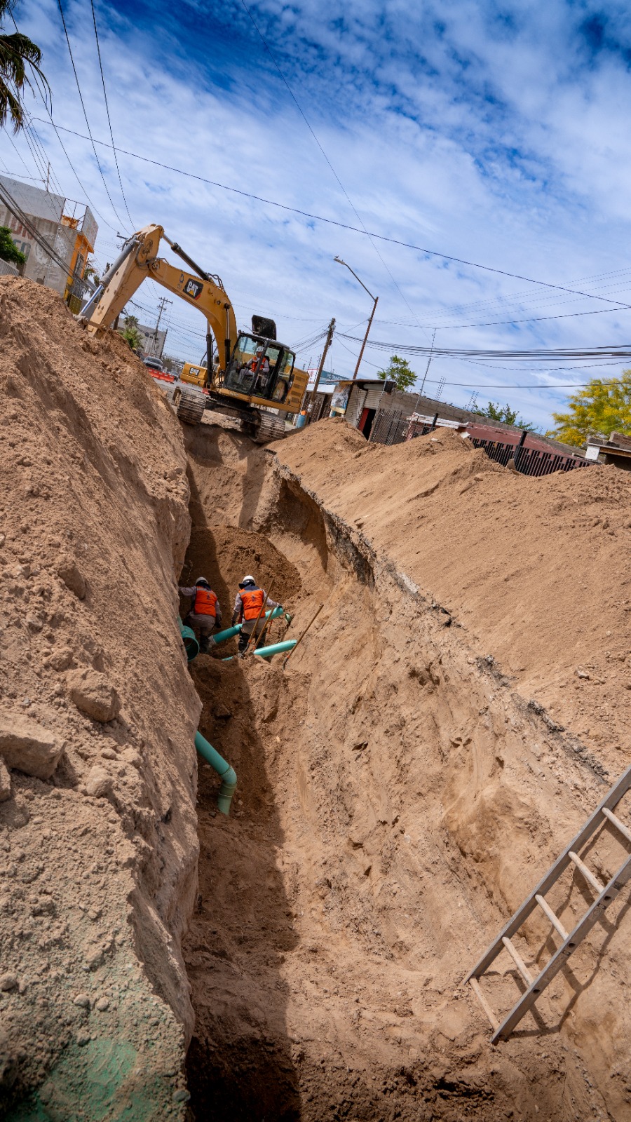 WhatsApp Image 2026-04-29 at 2.53.24 PM