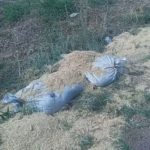 IMG-20260612-WA0053